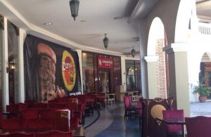 zarks-mckinley-venice