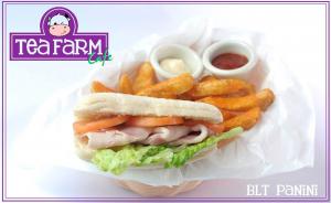 BLT Panini
